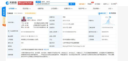 計算機軟硬件技術(shù)開發(fā)與銷售 驅(qū)動數(shù)字時代雙引擎